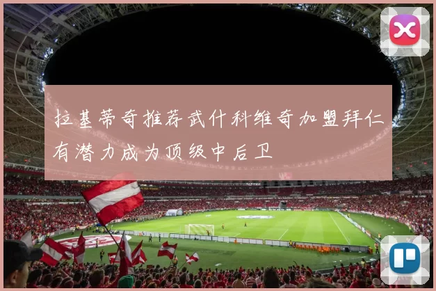 拉基蒂奇推荐武什科维奇加盟拜仁有潜力成为顶级中后卫