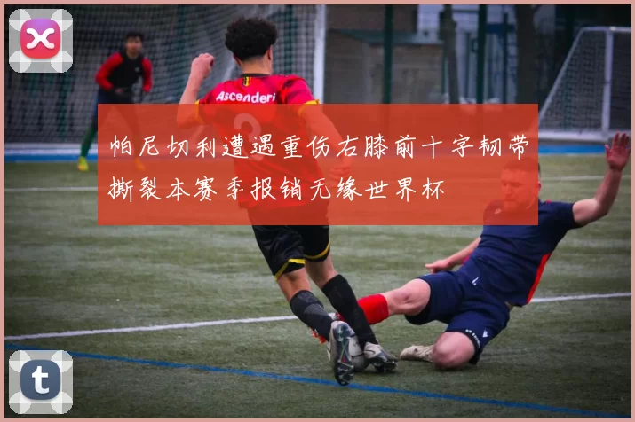 帕尼切利遭遇重伤右膝前十字韧带撕裂本赛季报销无缘世界杯